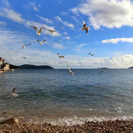 By The Sea Prvic Luka, Prvic - 21276 شقة