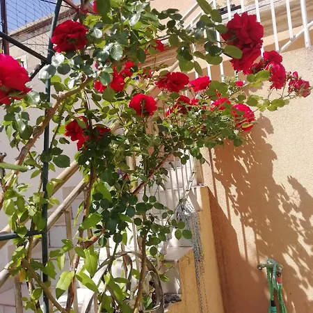 Lejlighed By The Sea Prvic Luka, Prvic - 21276