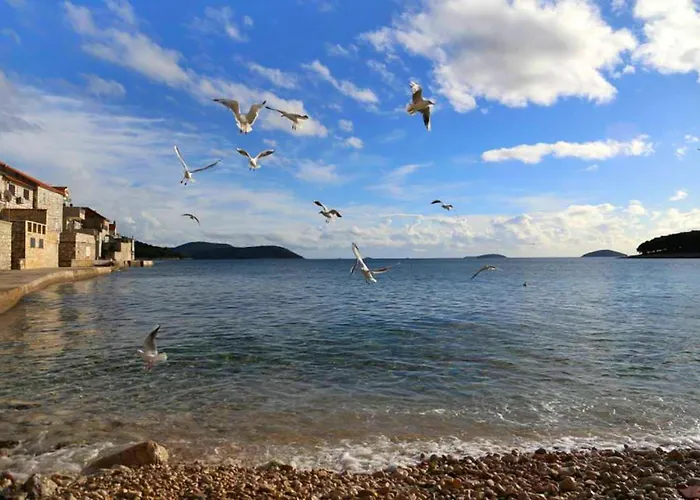 By The Sea Prvic Luka, Prvic - 21276 דירה