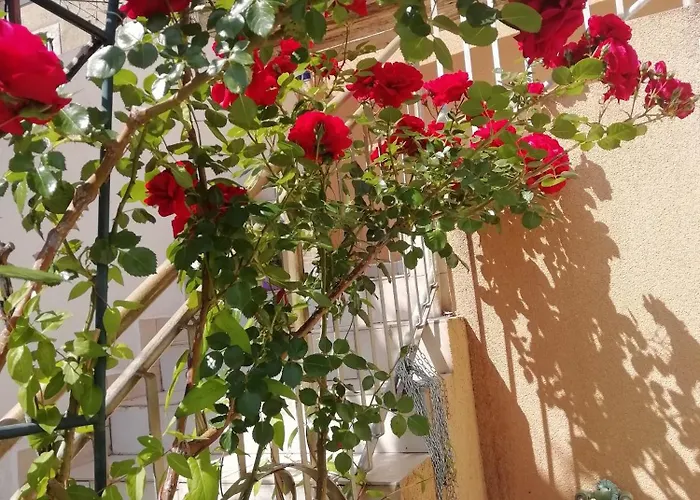 아파트 By The Sea Prvic Luka, Prvic - 21276